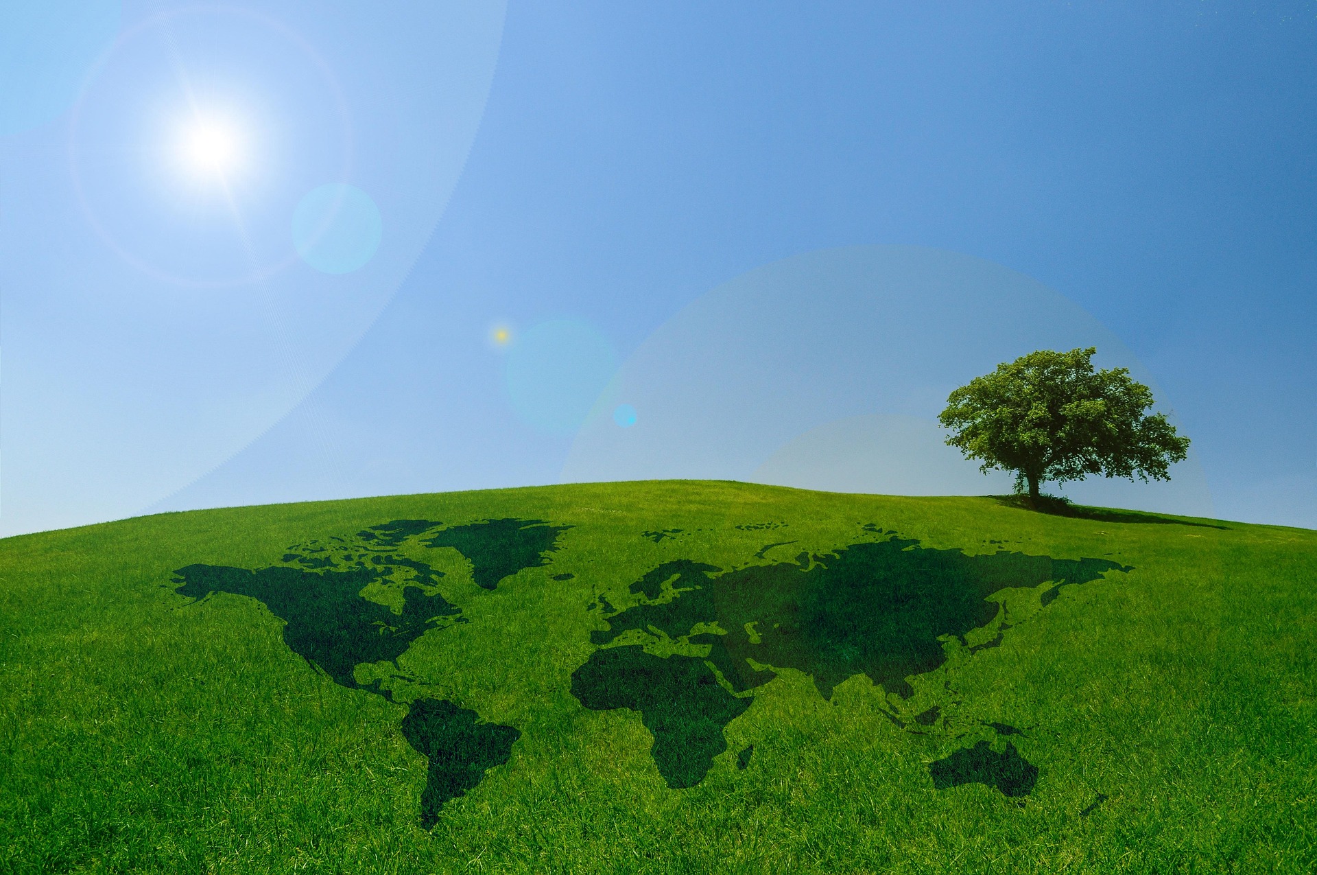 Eco-Friendly Cleaning: How to Keep Your Home Spotless Without Harming the Planet